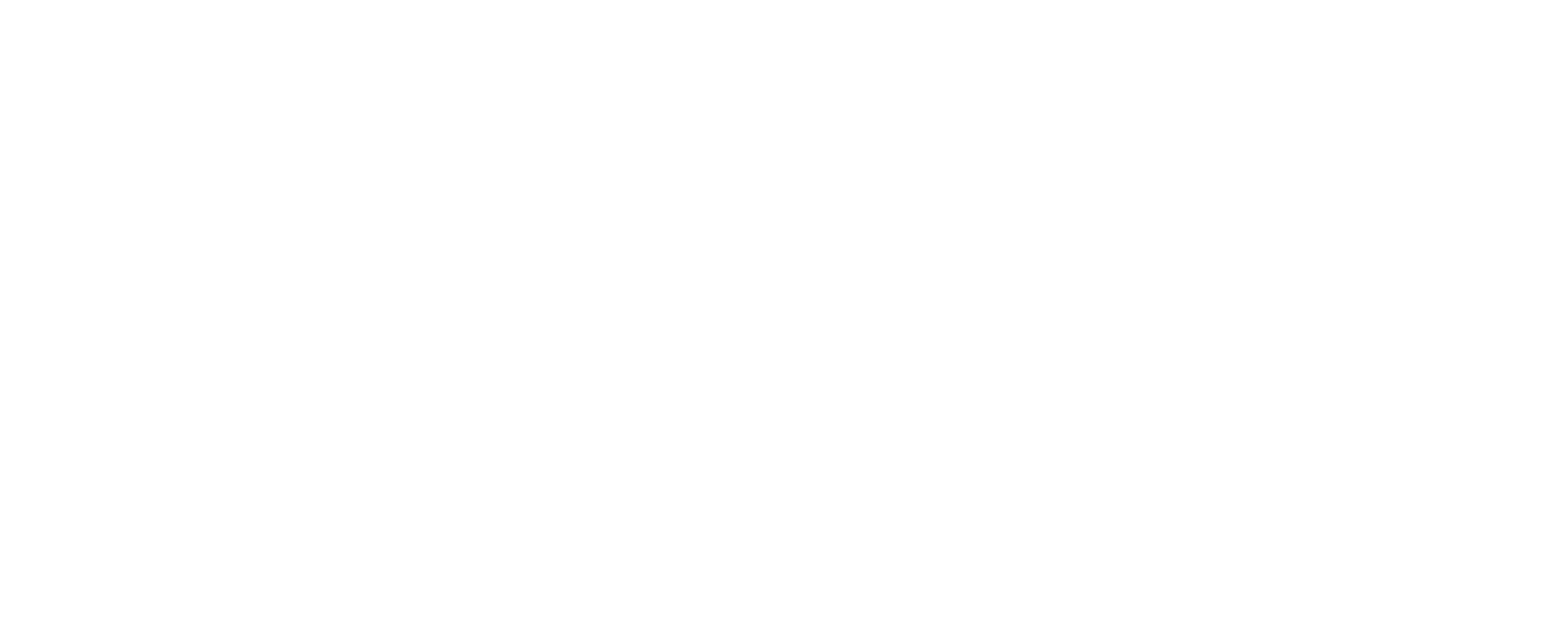 De Grolsch veste